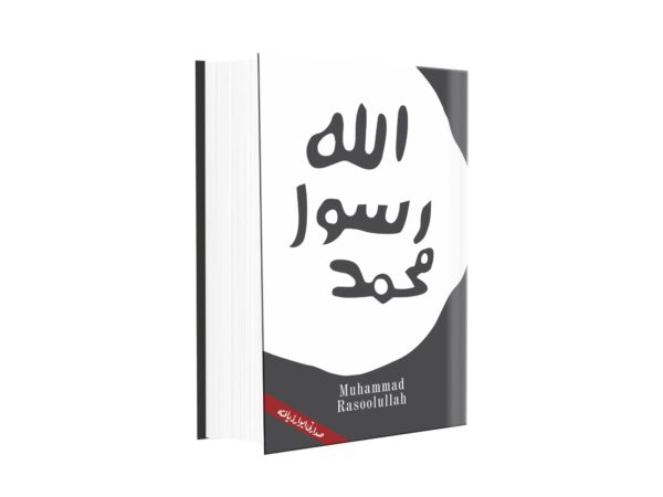 محمد رسول اللہ 2جلد یں (صدارتی ایوارڈ یافتہ )